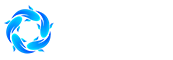 开云官方手机入口官网
